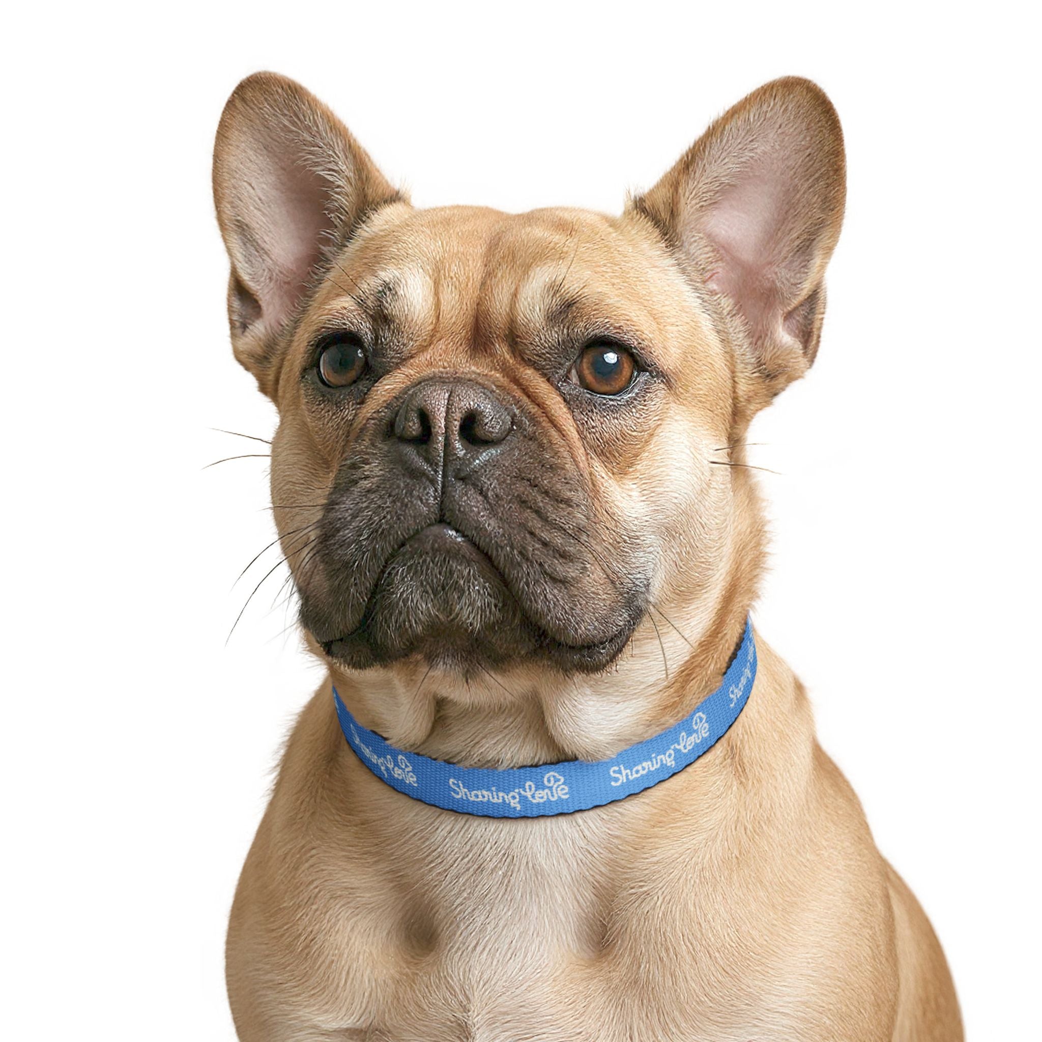 Clip-on Pet Collar — Blue “Sharing Love” Adjustable Dog Collar for Small to Large Dogs