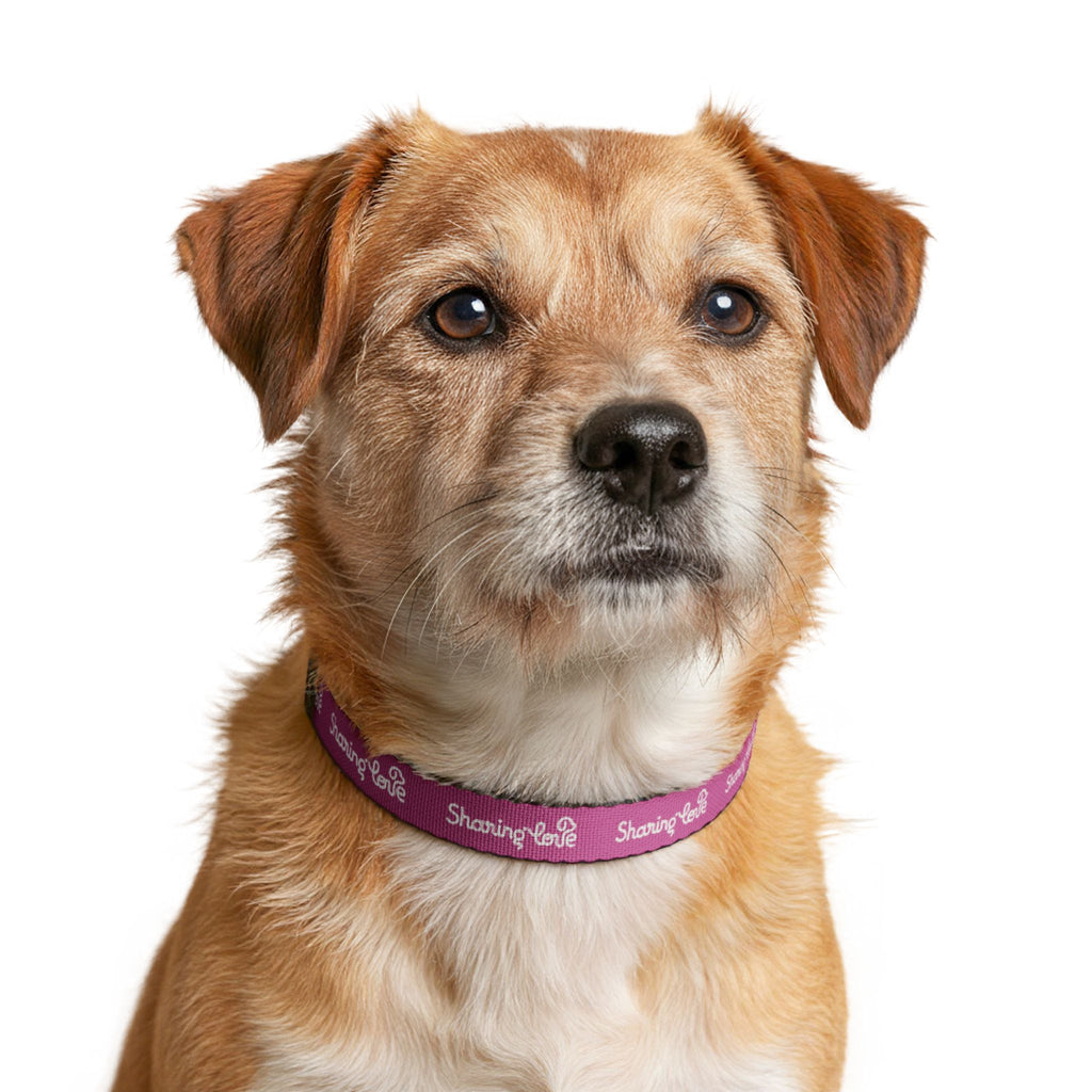Clip-on Pet Collar — Pink “Sharing Love” Adjustable Dog Collar