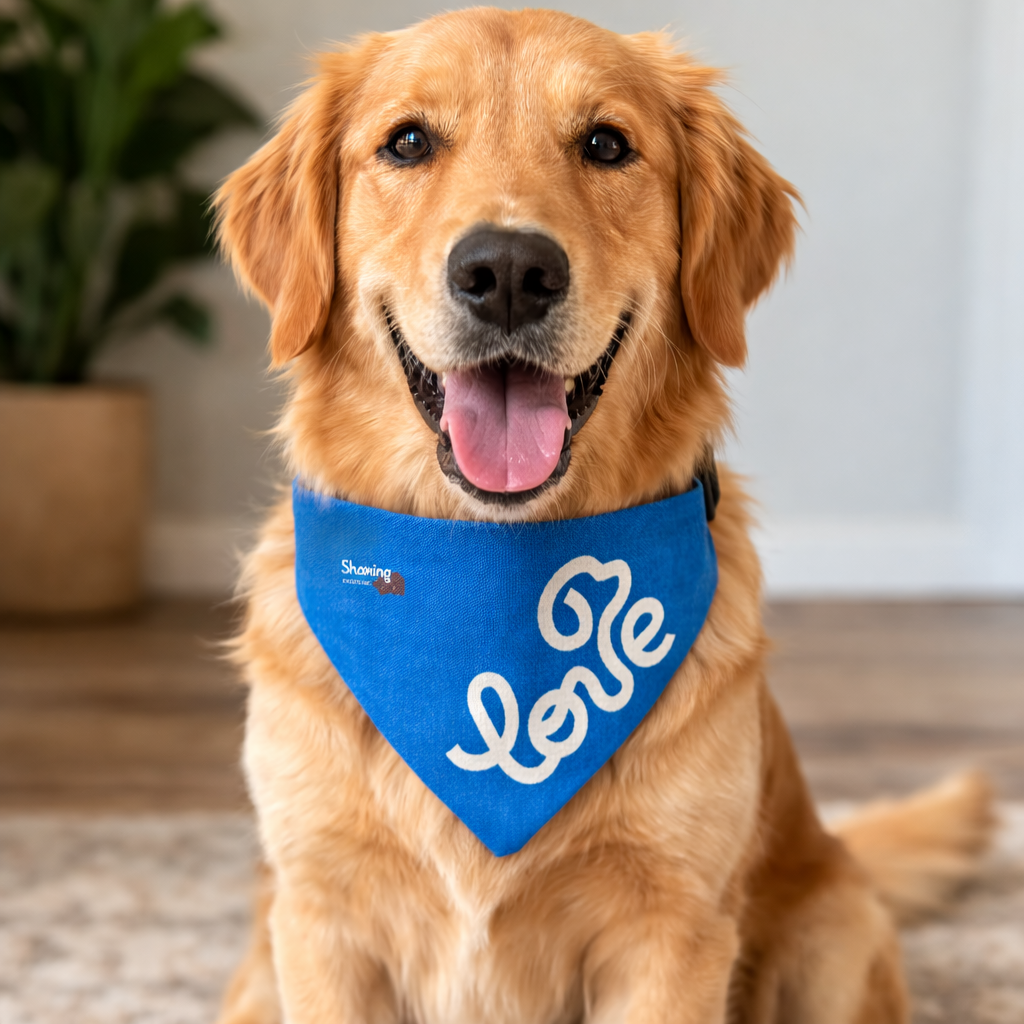 Clip-on Pet Bandana — Blue 'LOVE' Script Dog Collar Accessory