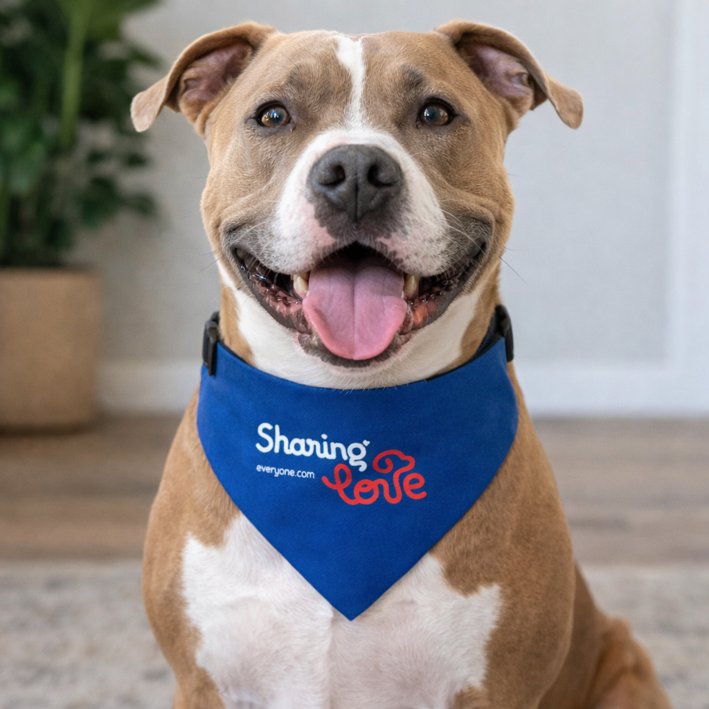 Clip-on Pet Bandana — "Sharing the Love" Blue Dog & Cat Collar Accessory