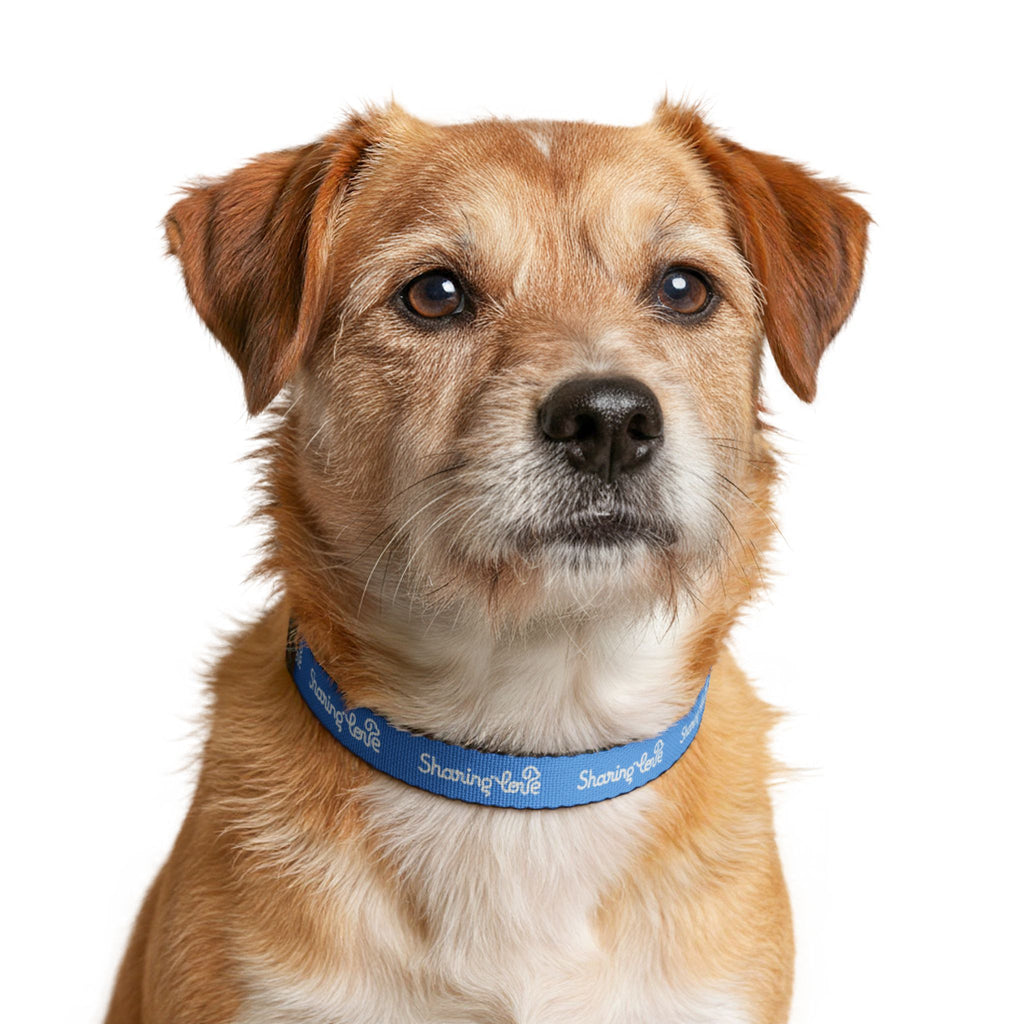 Clip-on Pet Collar — Blue “Sharing Love” Adjustable Dog Collar for Small to Large Dogs